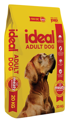 adult dog food