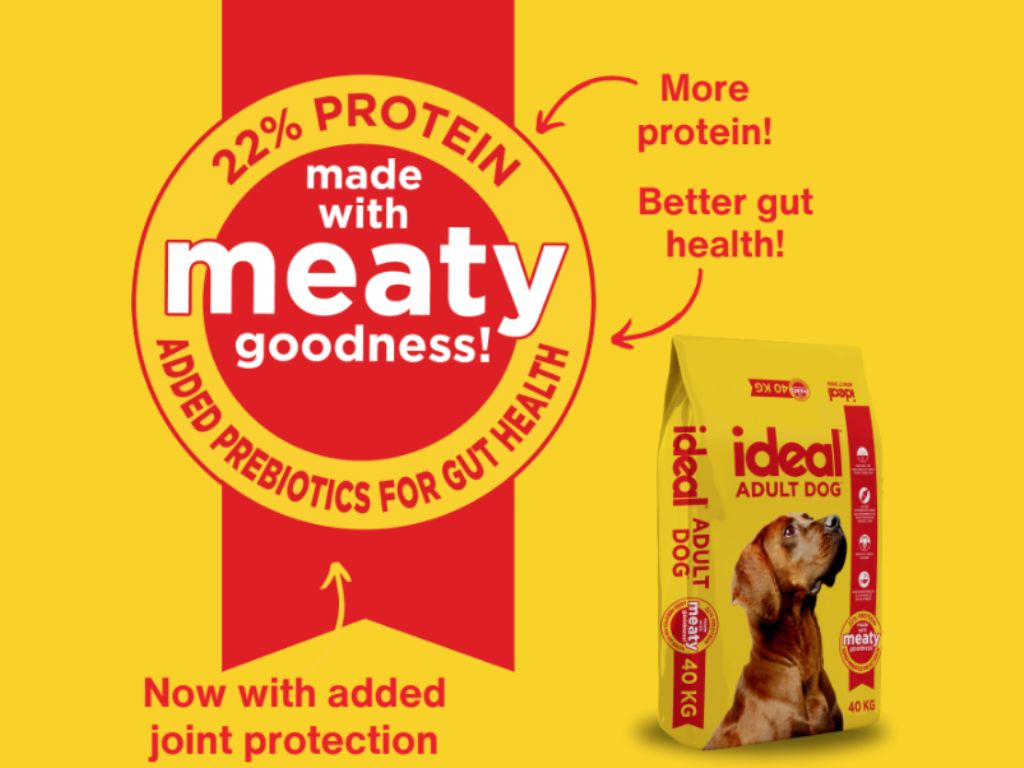 Ideal Adult Dog food pack with key benefits highlighted, including 22 percent protein, added prebiotics for gut health, and joint protection.