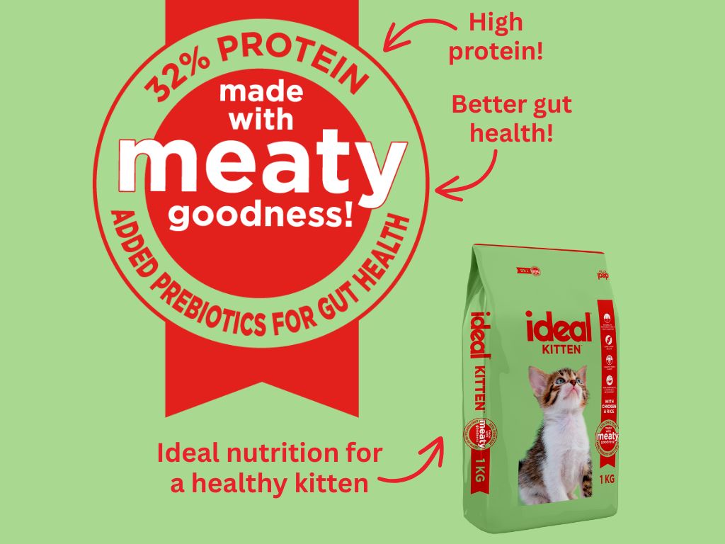 Ideal Kitten food pack with 32 percent protein and added prebiotics for gut health. Green and red packaging designed for growing kittens.