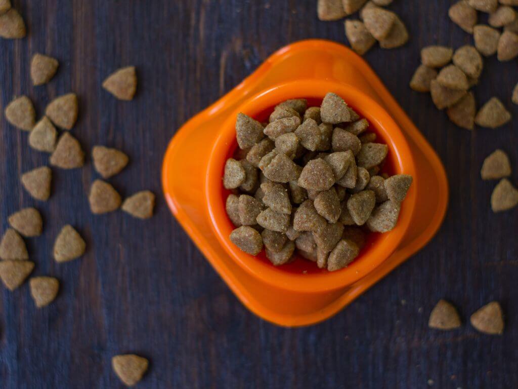Close-up of dry dog food kibble in orange bowl showing texture and coating.