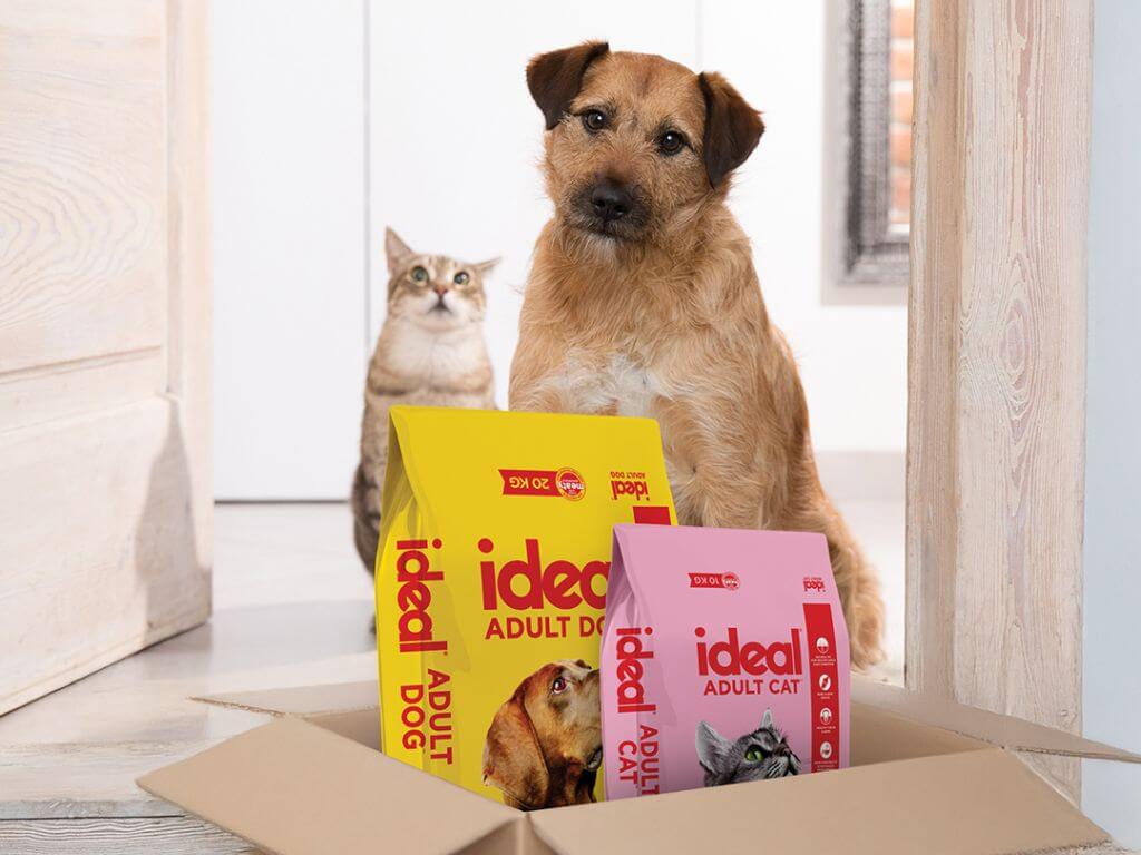 Dog and cat sitting behind Ideal Adult Dog and Adult Cat food bags in a delivery box.