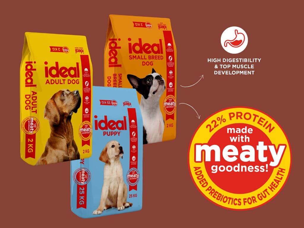 Ideal dog food range with added prebiotics for gut health and high digestibility.